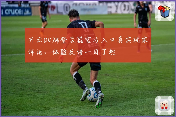 开云pc端登录器官方入口真实玩家评论，体验反馈一目了然