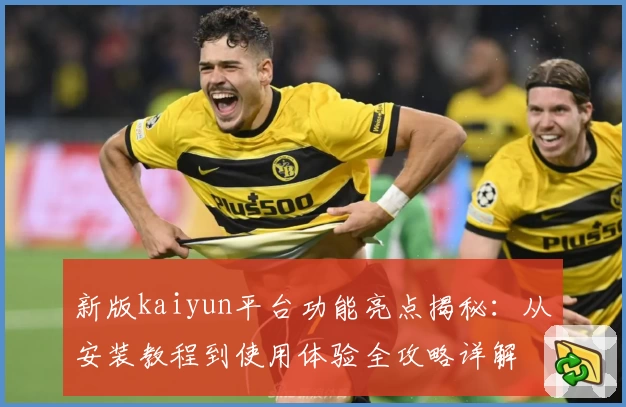 新版kaiyun平台功能亮点揭秘：从安装教程到使用体验全攻略详解