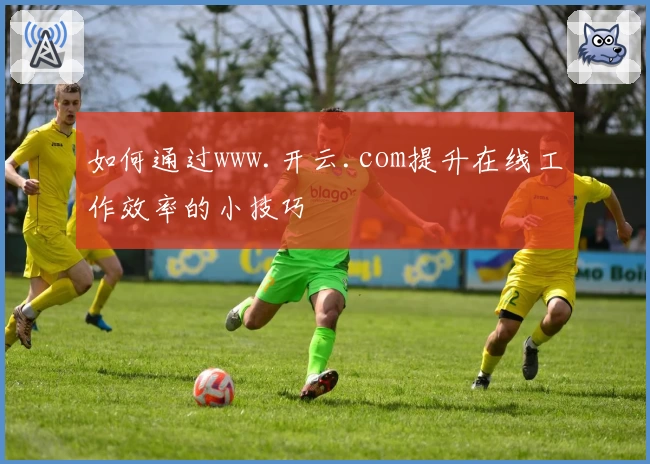 如何通过www.开云.com提升在线工作效率的小技巧